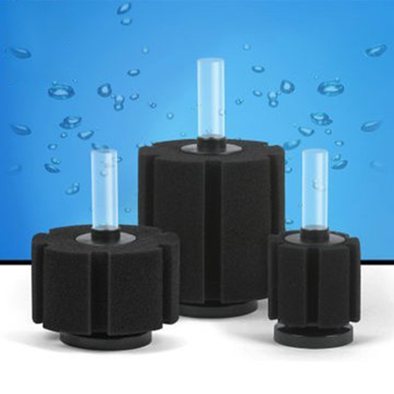 Aquarium Fish Images - Aquarium Filter Sponge For Fish Tank
