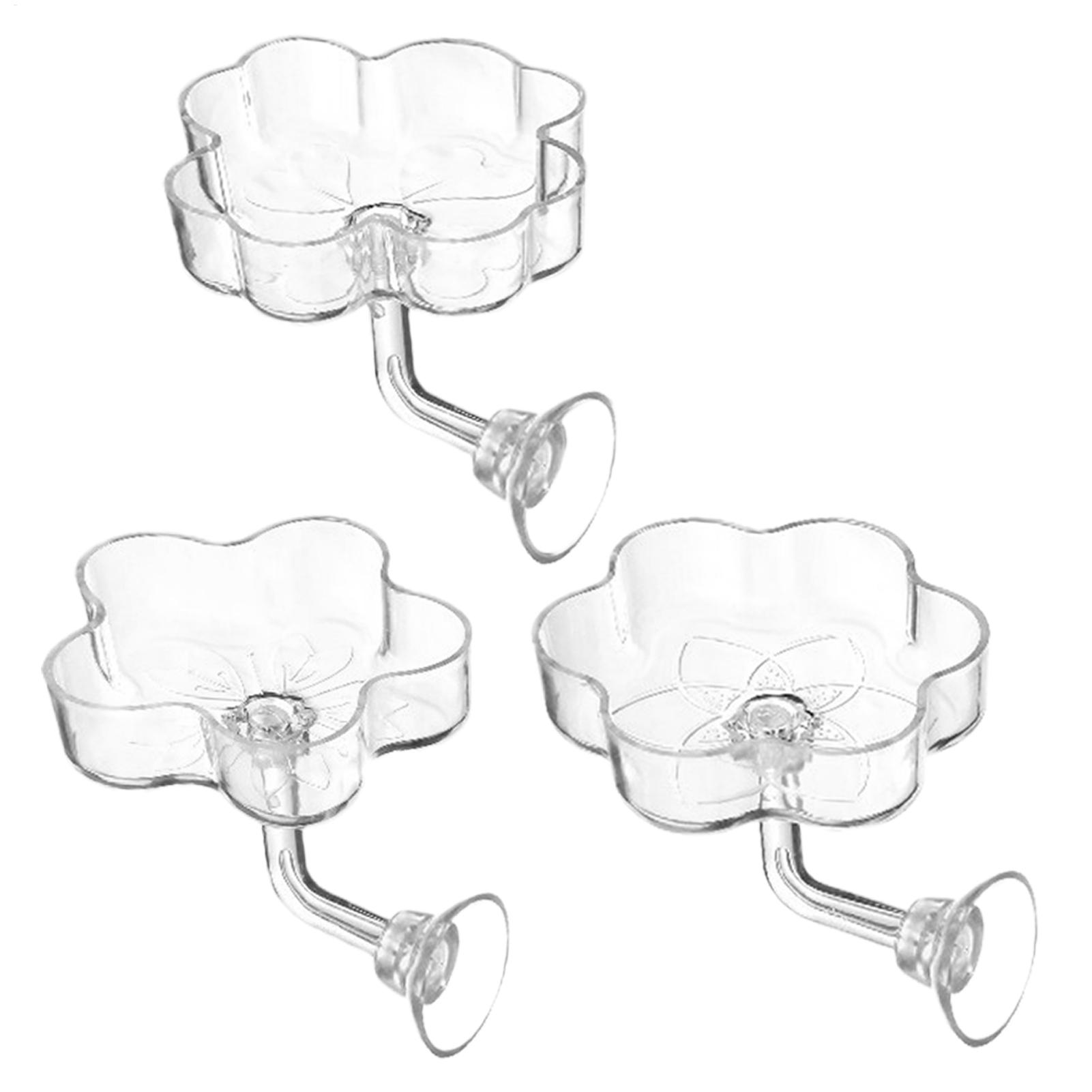 Tetra Fish In Aquarium - Aquarium Feeder Suction Cup Flower Shaped
