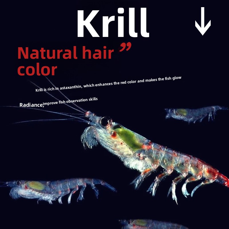 Huiqiancai Micro Pellets Fish  - Tetra Fish In Aquarium recension och pris