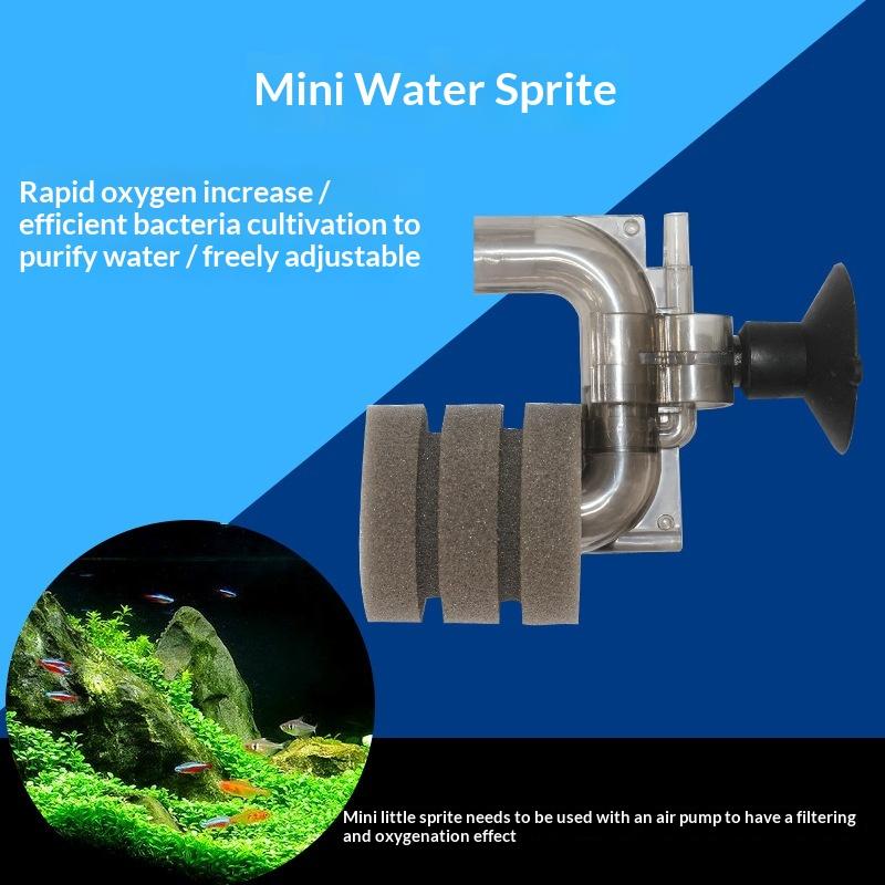 .Hot Sale-Mini Aquarium Sponge - Aquarium Fish Price recension och pris