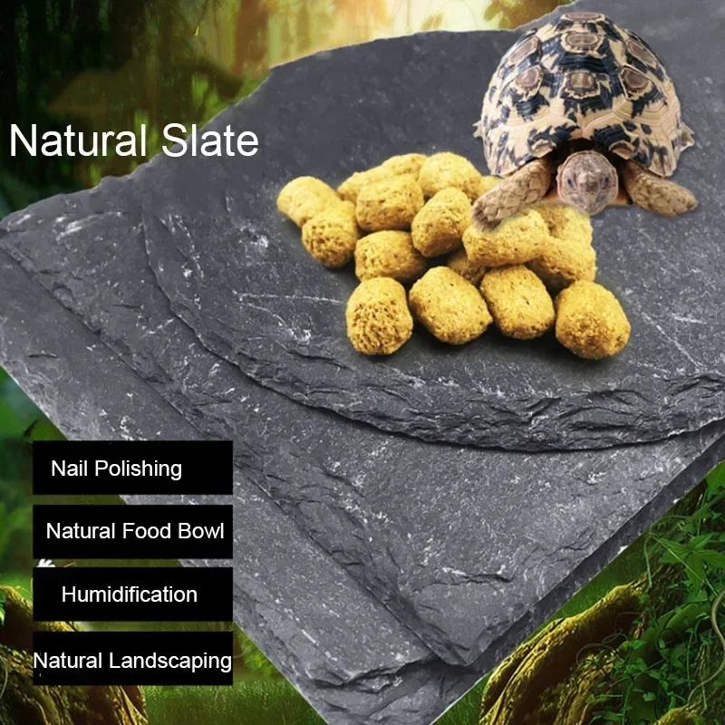 Natural Slate Aquarium Pet Rep - Aquarium Fish Price recension och pris
