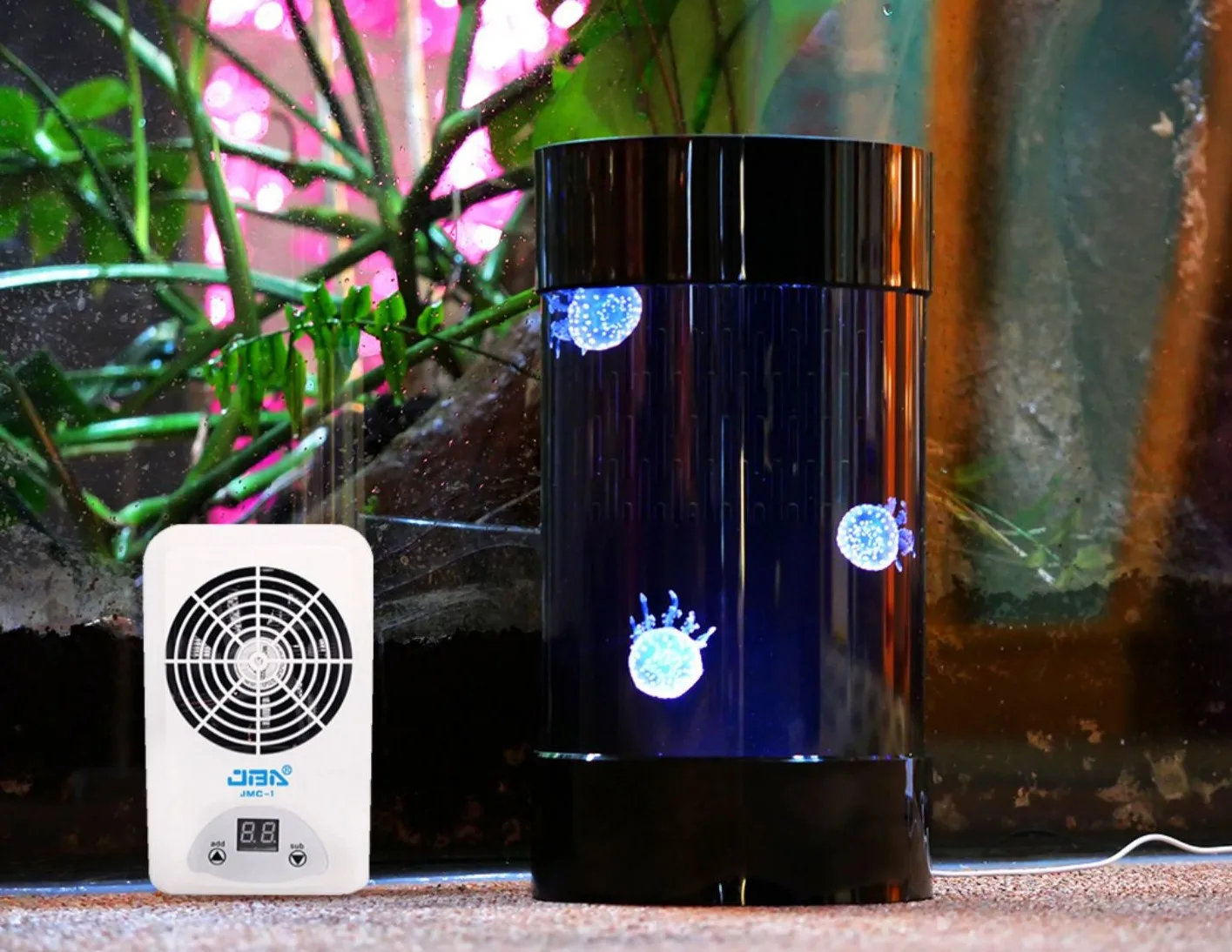 Best Amazon Sales Jellyfish Ta - Aquarium Fish Amazon recension och pris