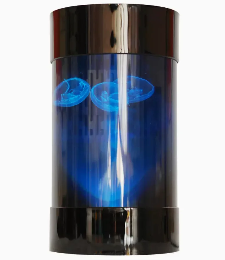 Best Amazon Sales Jellyfish Ta - Aquarium Fish Amazon recension och pris