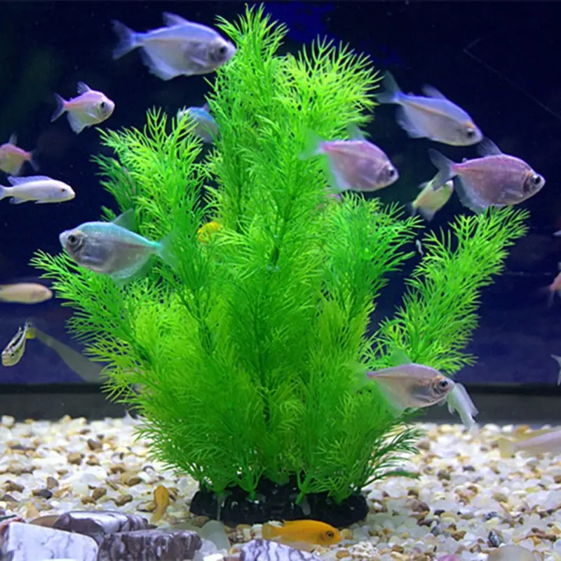 Artificial Aquarium Decor Plan - Aquarium Fish Only recension och pris