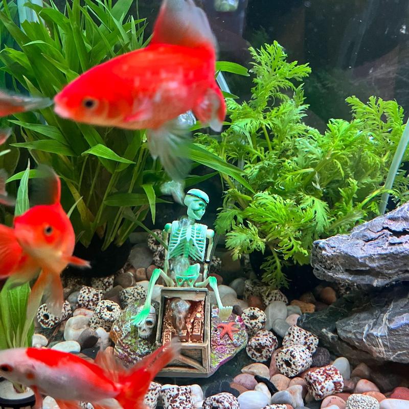 Fish Tank Aerobic Landscape Bu - Aquarium Fish Only recension och pris