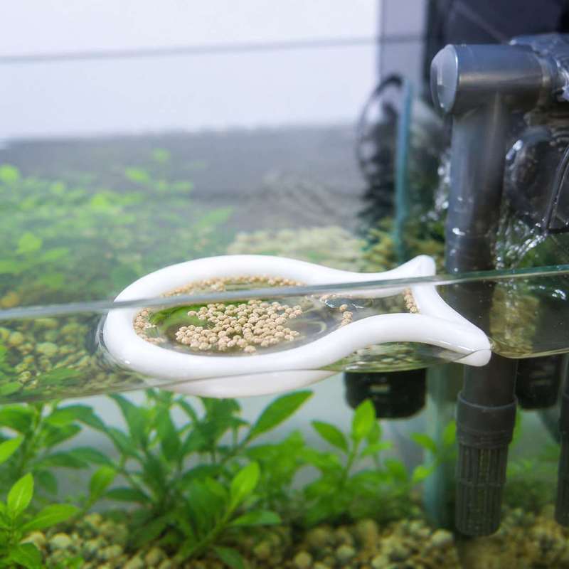 Fish Shaped Floating Feeding R - Aquarium Fish Price recension och pris
