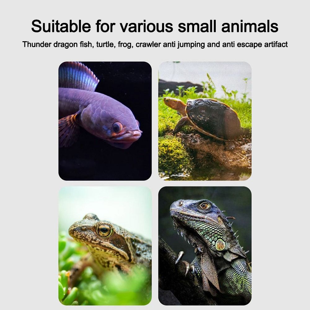 Durable Magnetic Fish Tank Lid - Aquarium Fish Jumping recension och pris