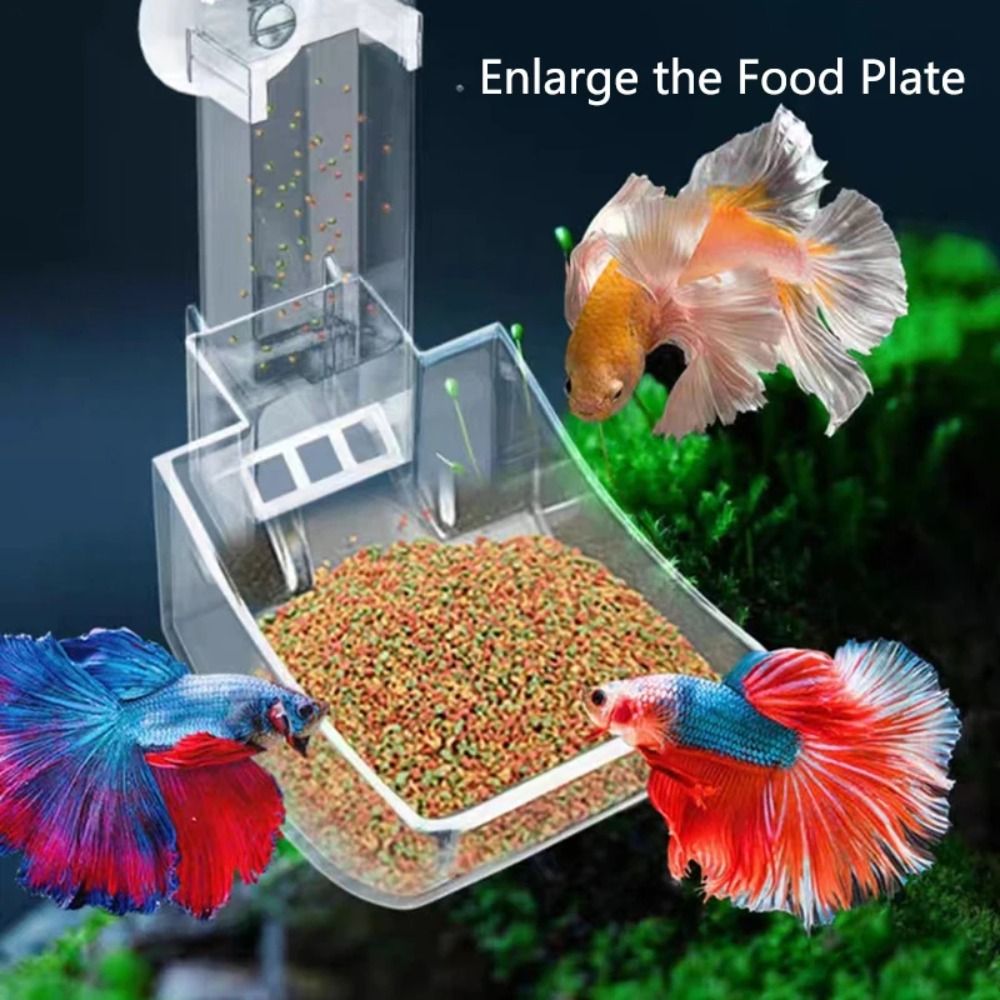 Transparent Aquarium Fish Tank - Aquarium Fish Price recension och pris