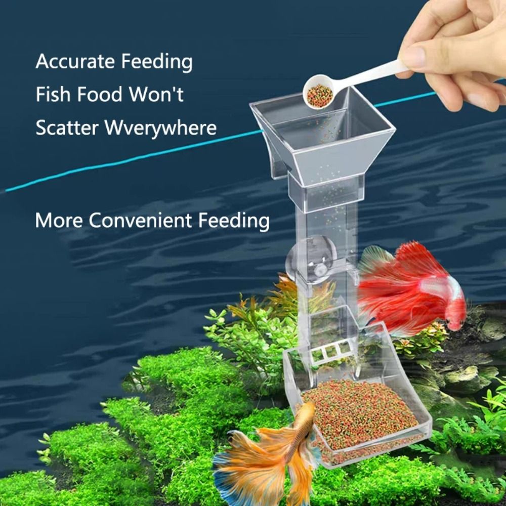 Transparent Aquarium Fish Tank - Aquarium Fish Price recension och pris