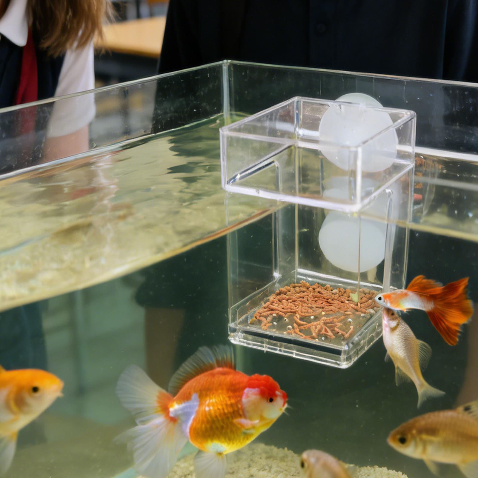 Aquarium Feeder Suction Cup Aq - Tetra Fish In Aquarium recension och pris