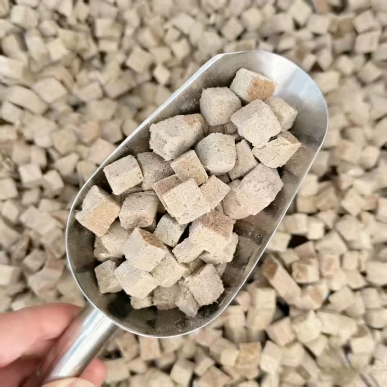 Freeze Dried Blood Worm Cubes  - Tetra Fish In Aquarium recension och pris