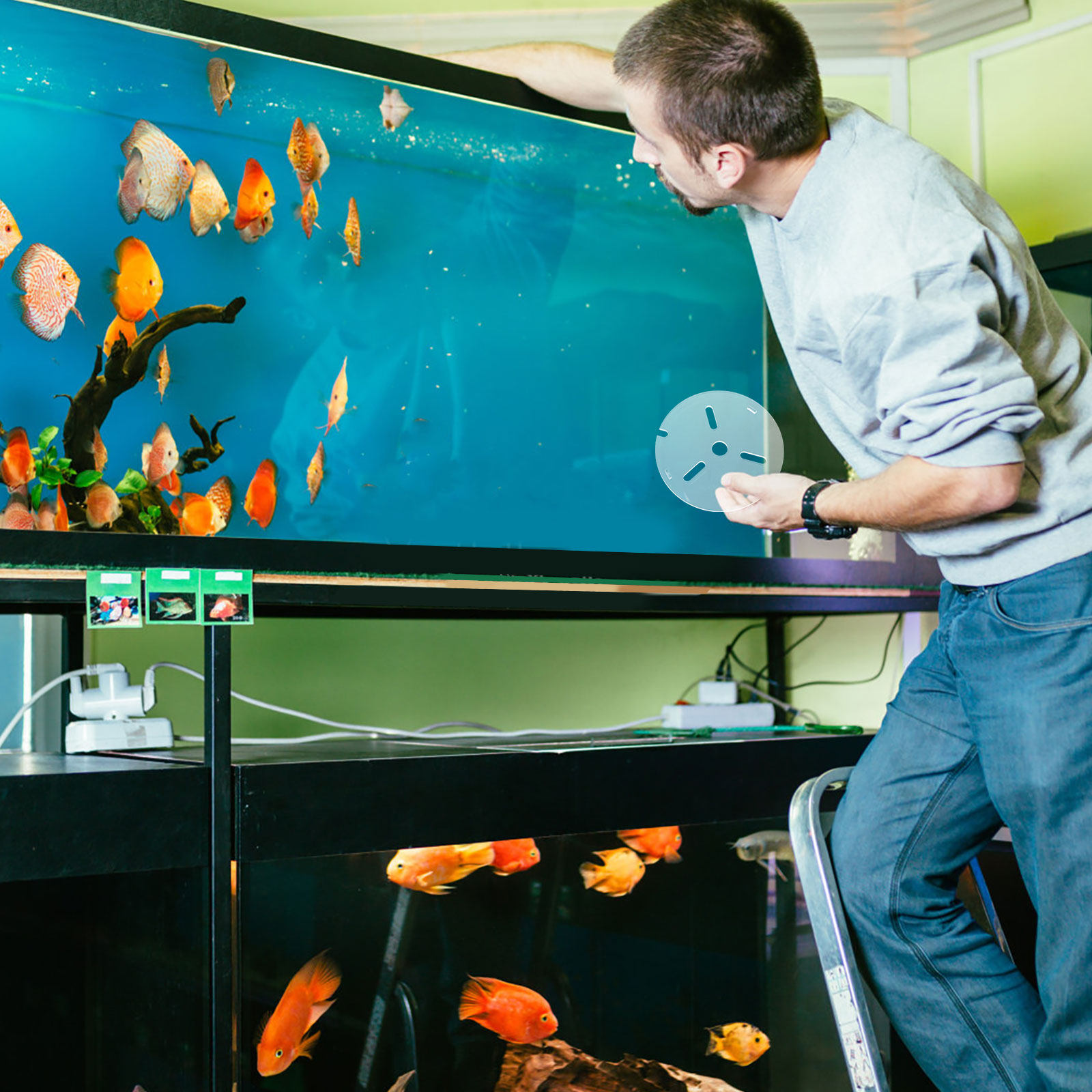 Acrylic Anti Jumping Aquarium  - Aquarium Fish Jumping recension och pris