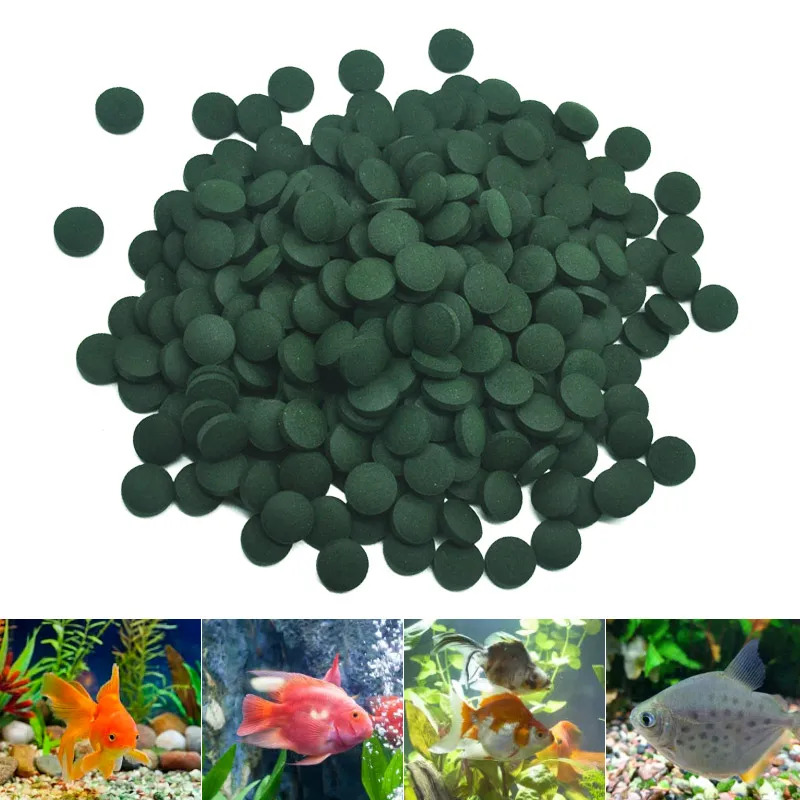 50-300Pcs High Purity Spirulin - Aquarium Fish Price recension och pris