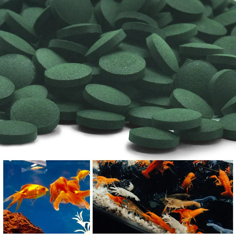 50-300Pcs High Purity Spirulin - Aquarium Fish Price recension och pris