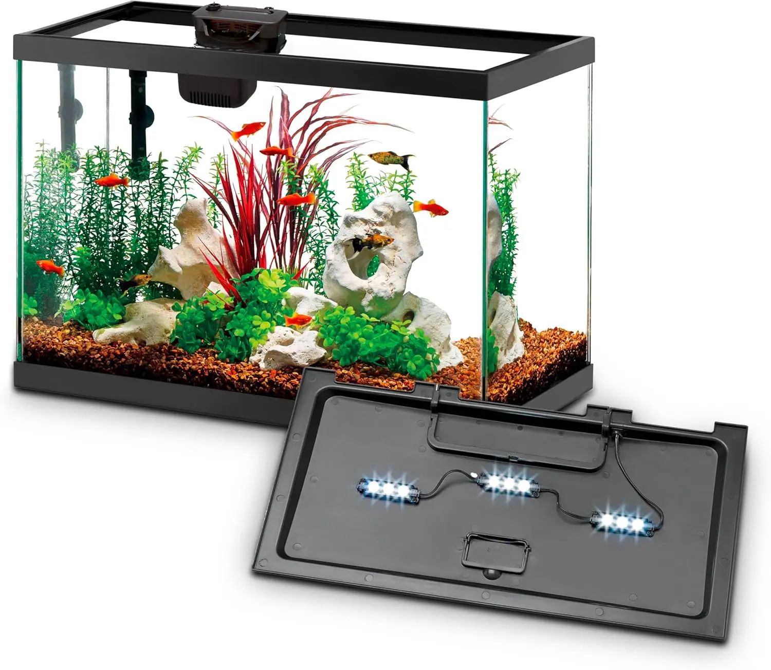 Aquarium Starter Kit with Smar - Tetra Fish In Aquarium recension och pris
