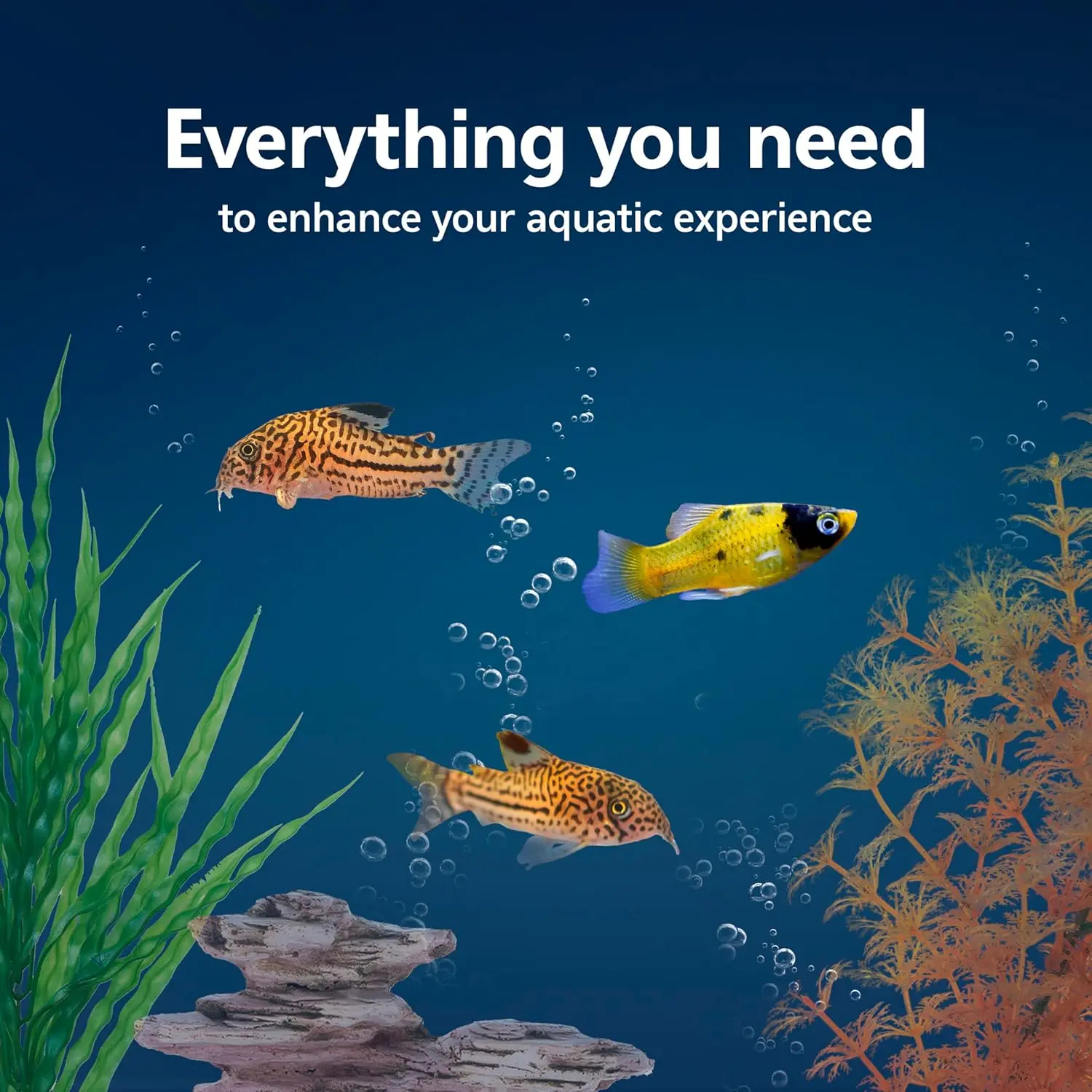 Aquarium Starter Kit with Smar - Tetra Fish In Aquarium recension och pris