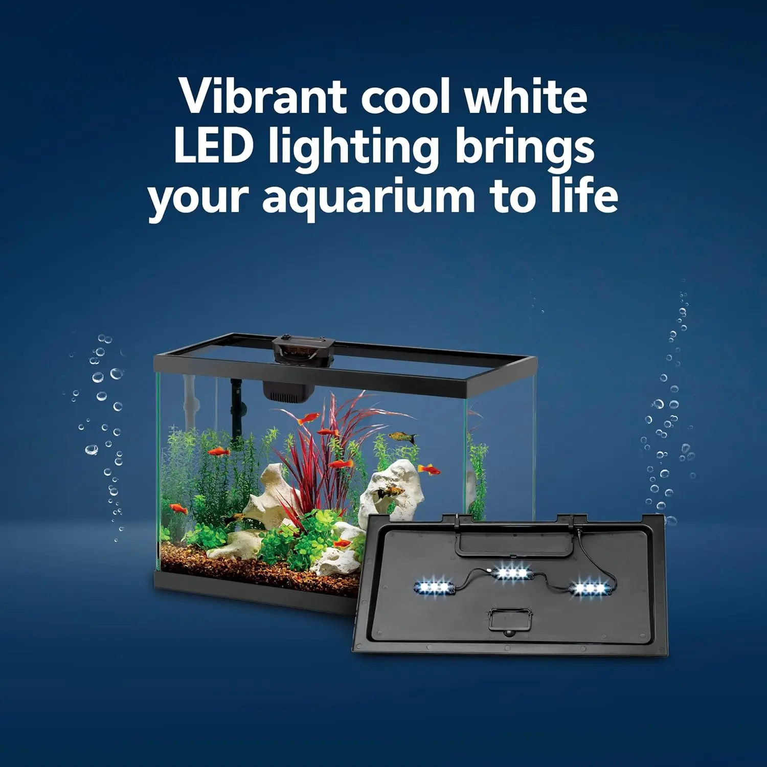 Aquarium Starter Kit with Smar - Tetra Fish In Aquarium recension och pris