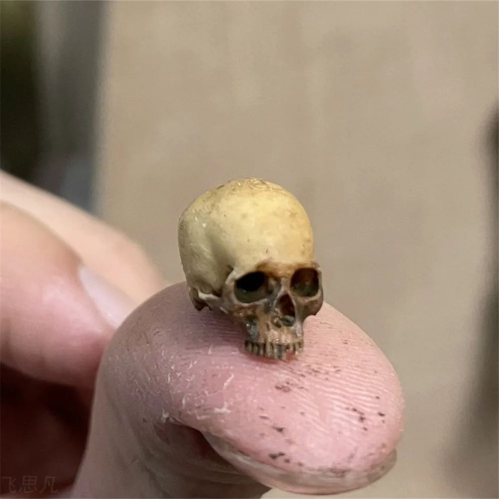 Mini Skull High Quality Miniat - Aquarium Fish Only recension och pris