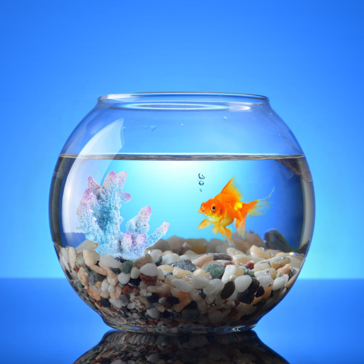 Xl-S1718 Lifelike Resin Coral  - Aquarium Xl recension och pris
