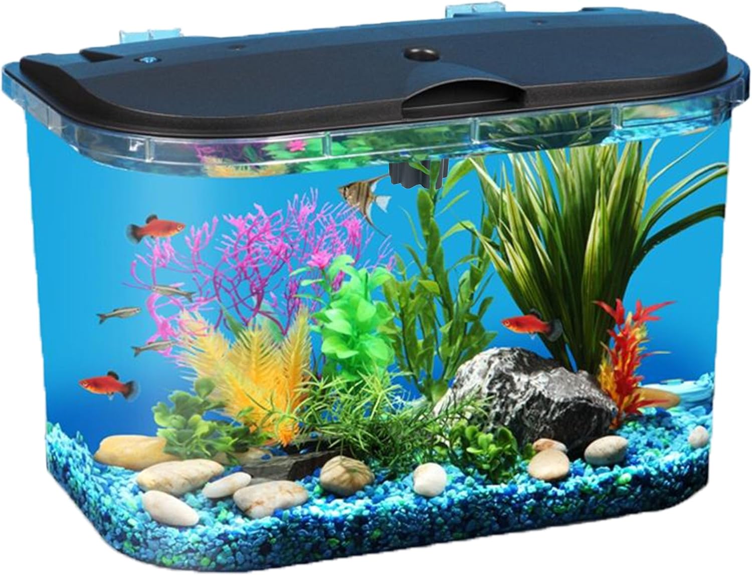 5-Gallon Aquarium Kit with LED - Aquarium Fish Variety recension och pris
